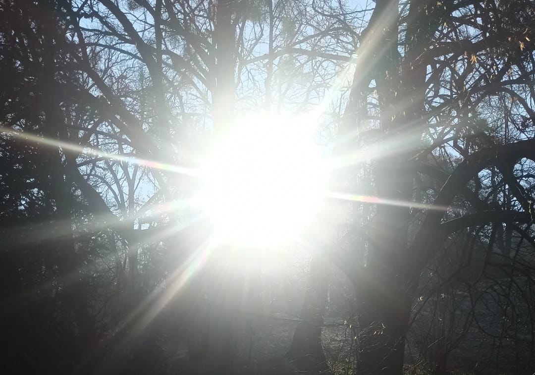 sole(3)